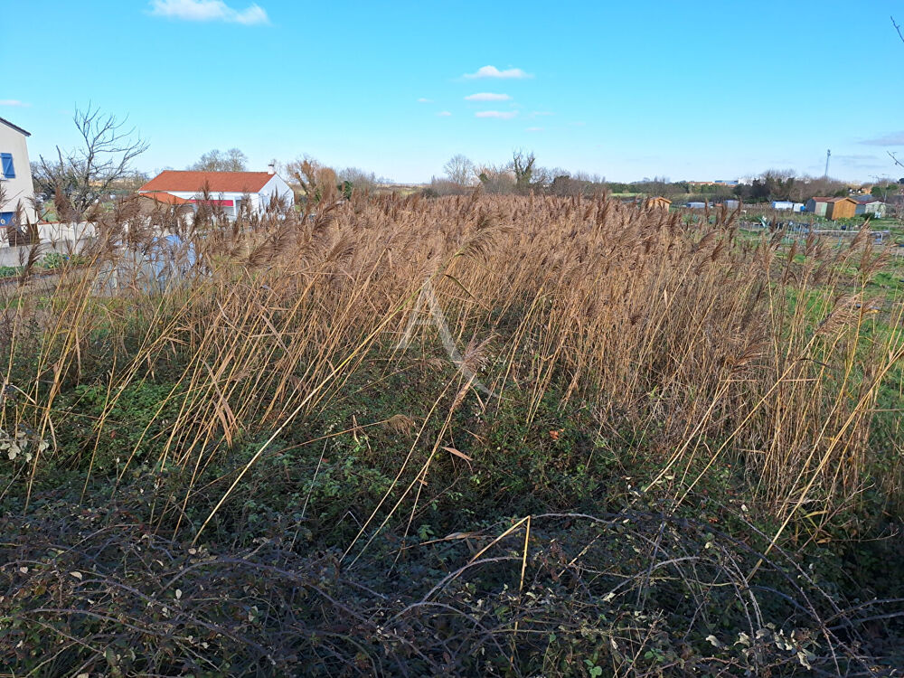Vente Terrain Terrain non constructible la Tranche sur Mer La tranche sur mer