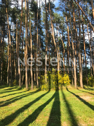  Maison � vendre 7 pi�ces 170 m�