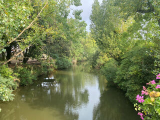  Terrain � vendre 445 m�