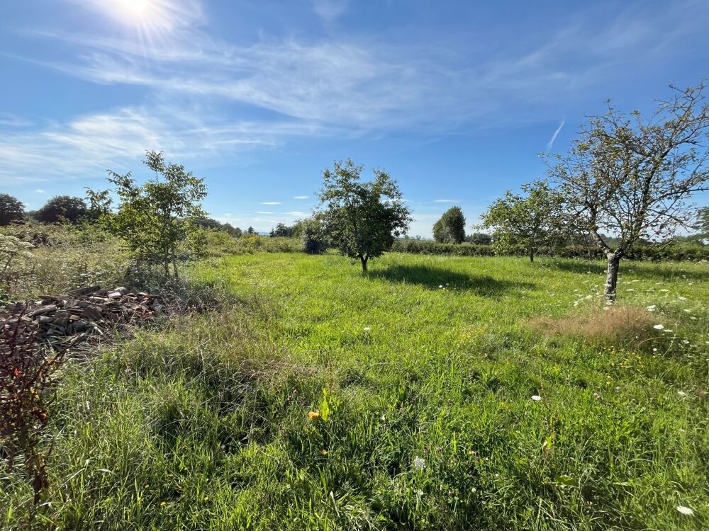 Vente Terrain Terrain constructible 1221 m² - 01190  BOISSEY Boissey