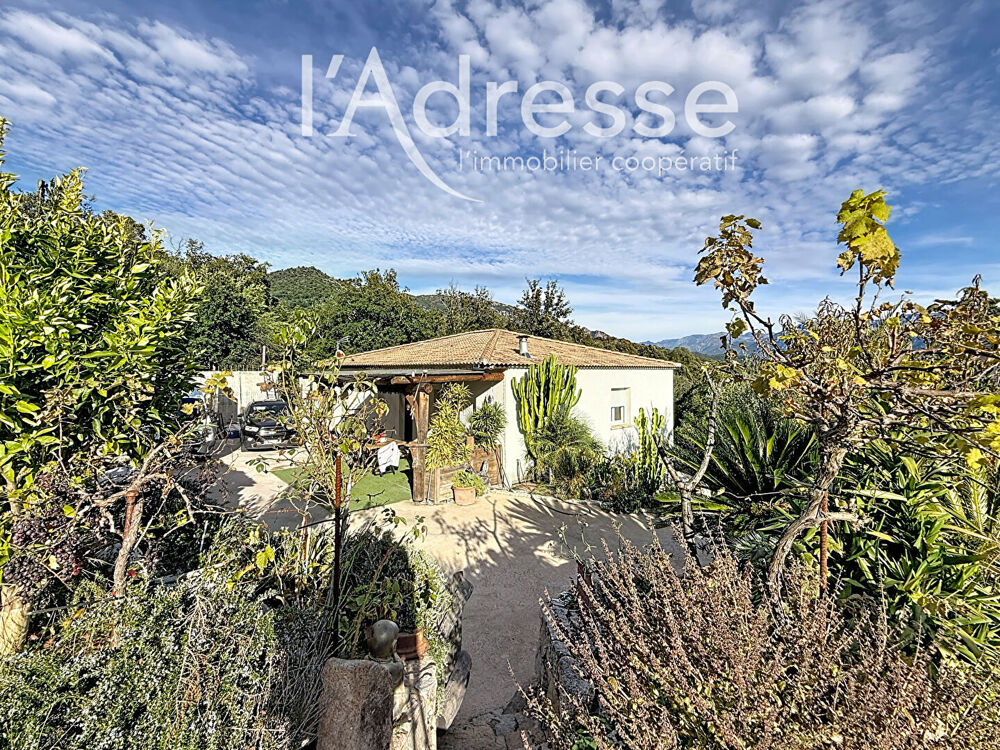 Vente Maison Maison avec piscine et appartement indépendant à Valle-di-Mezzana Valle di mezzana
