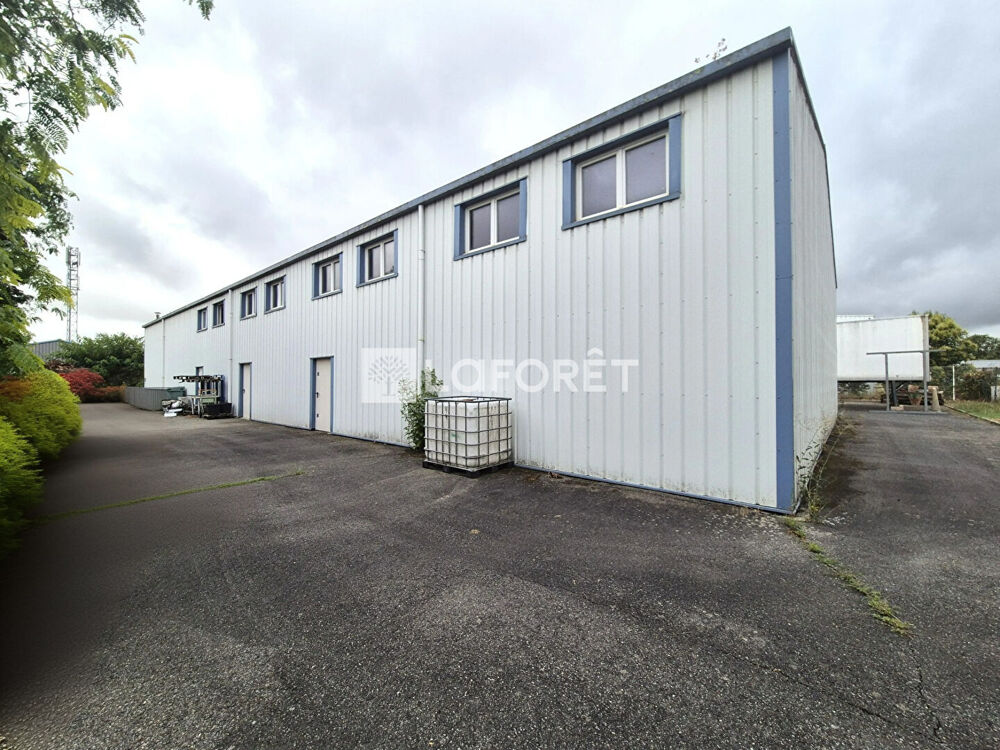   Local d'activité Bessieres 180 m2 