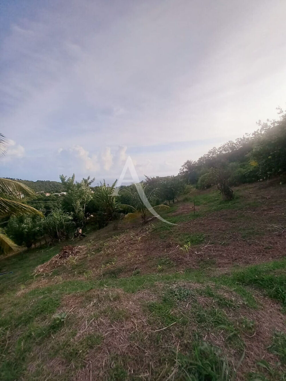 Vente Terrain Terrain  de 1491 m² Le morne vert