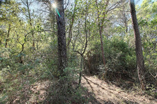  Terrain � vendre 104010 m�