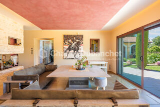  Villa � vendre 13 pi�ces 1 m�