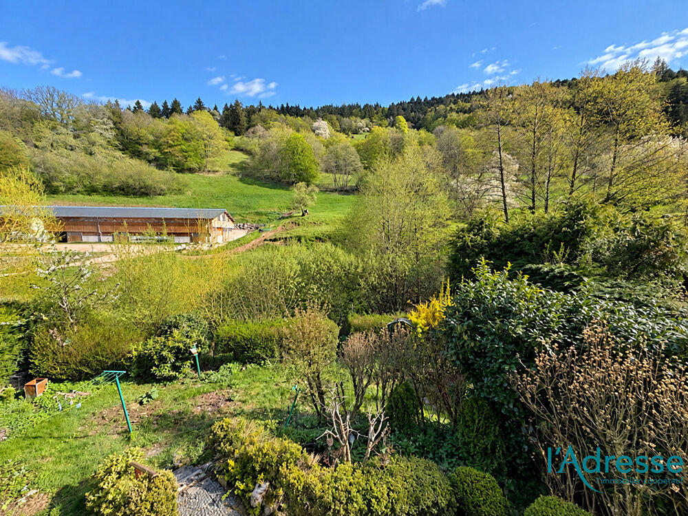 Vente Maison Maison Wasserbourg Wasserbourg
