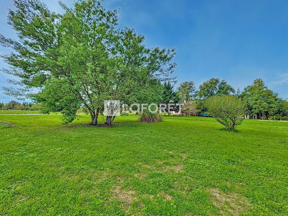 Vente Terrain Terrain  à bâtir La Magdelaine-sur-Tarn 600 m2 La magdelaine sur tarn