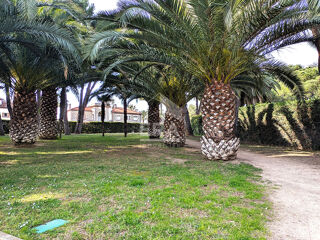  Appartement � vendre 2 pi�ces 40 m�