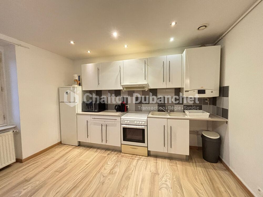 Location Appartement FEURS - Appartement  MEUBLE T3 de 53m² Feurs