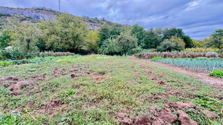 Vente Terrain Terrain potager Cajarc 539 m2 Cajarc