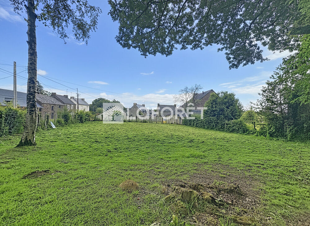 Vente Terrain Terrain Bains Sur Oust 510 m2 Bains sur oust