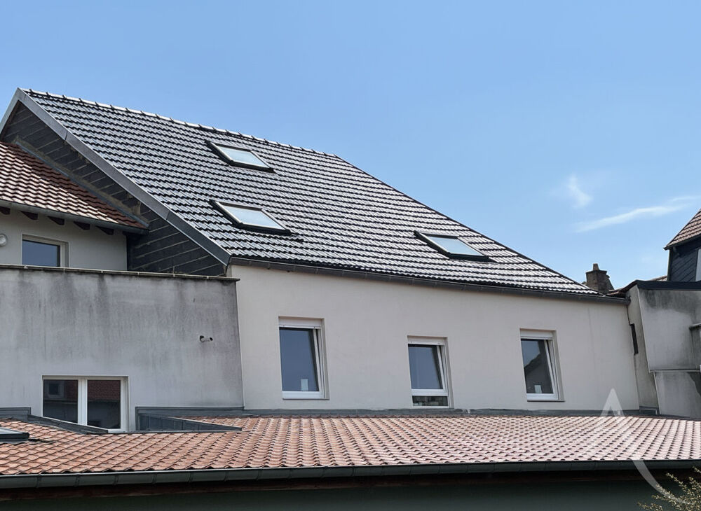 Vente Immeuble Immeuble Puttelange Aux Lacs 12 pièce(s) 330 m2 Puttelange aux lacs