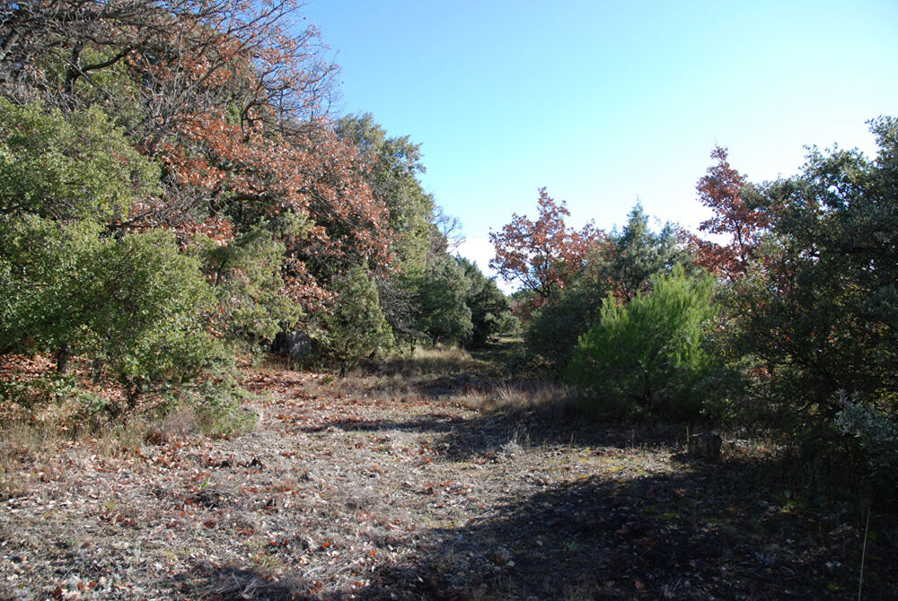 Vente Terrain A VENDRE EN EXCLUSIVITE ! Beau terrain plat  de 1457m² à BEAUDINARD SUR VERDON Baudinard sur verdon