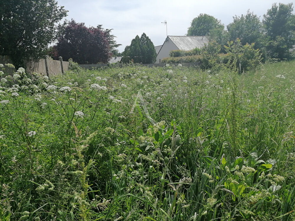 Vente Terrain Terrain constructible non viabilisé Crossac de 3049 m2 Crossac