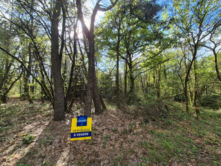  Terrain à vendre 5000 m²