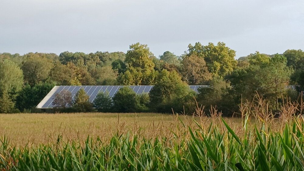 Propriété modulable sur 7 hectares à 15 min de Dax