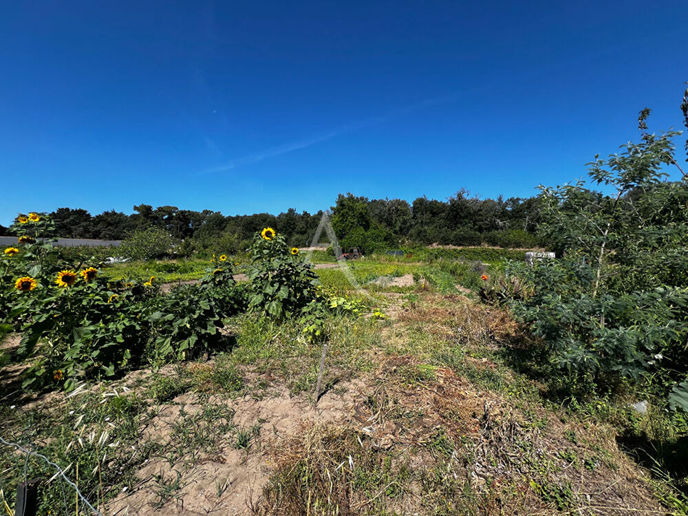 Vente Terrain Terrain de loisirs Longeville Sur Mer Longeville sur mer