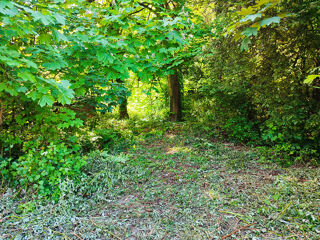  Terrain � vendre 545 m�