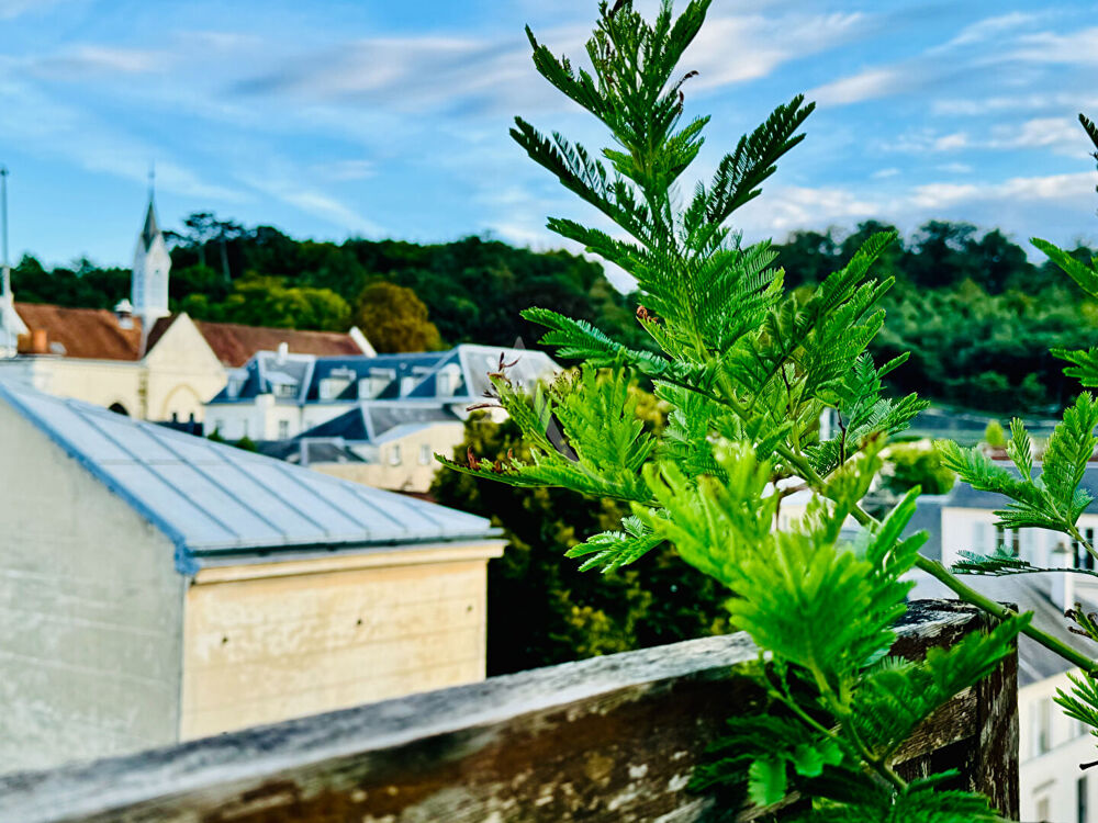 � vendre  Appartement Versailles (78000)