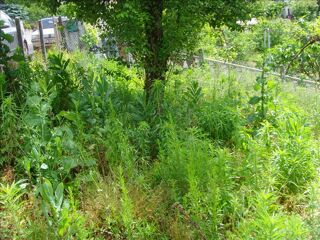  Terrain � vendre 288 m�