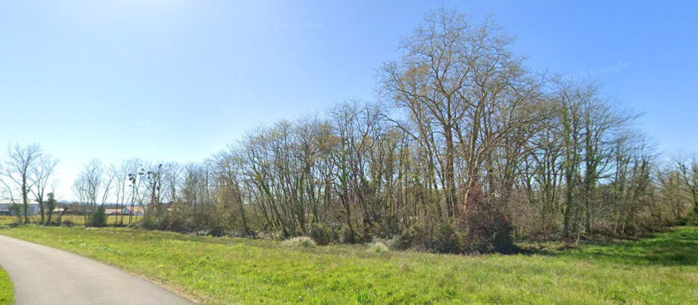 Vente Terrain Terrain en zone agricole  - Saint Martin De Hinx Saint martin de hinx