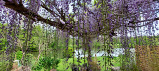  Maison � vendre 4 pi�ces 180 m�