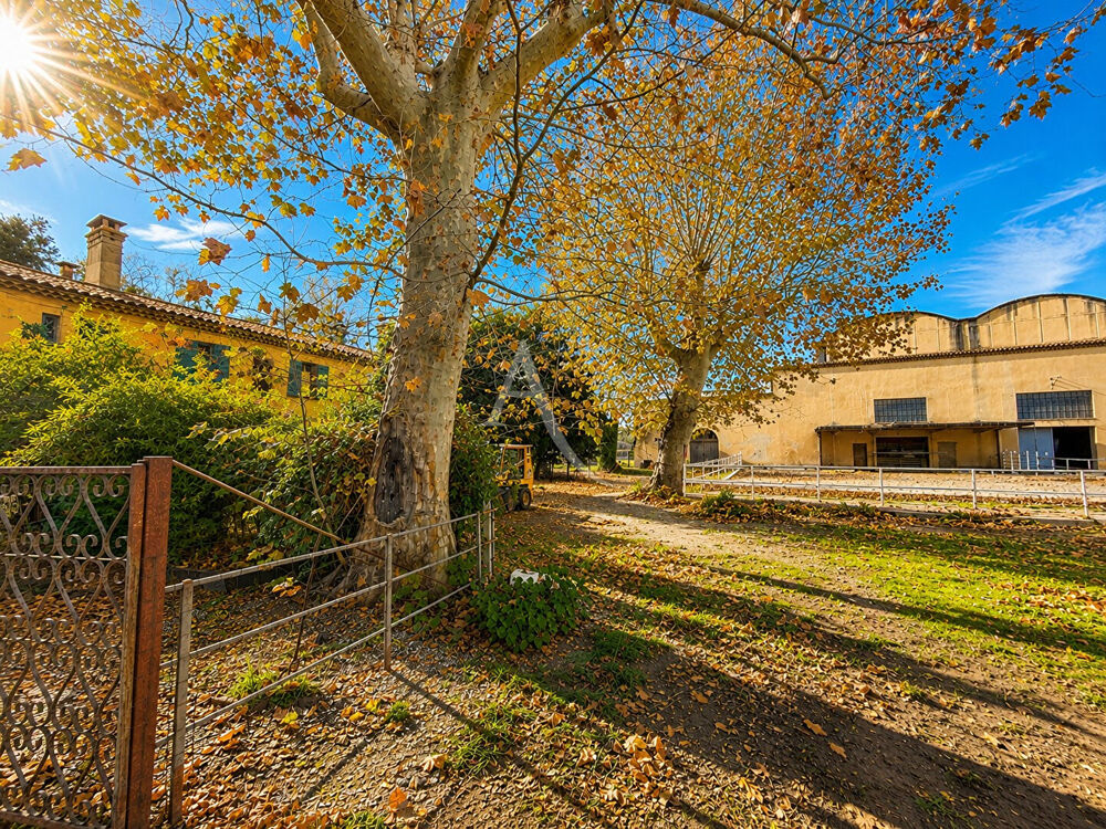 Domaine de Provence (Mas Arles)