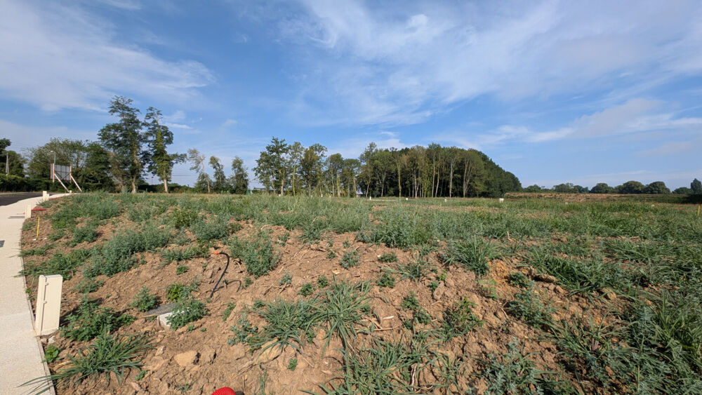 Vente Terrain Terrain Coutevroult 1340m2 Coutevroult