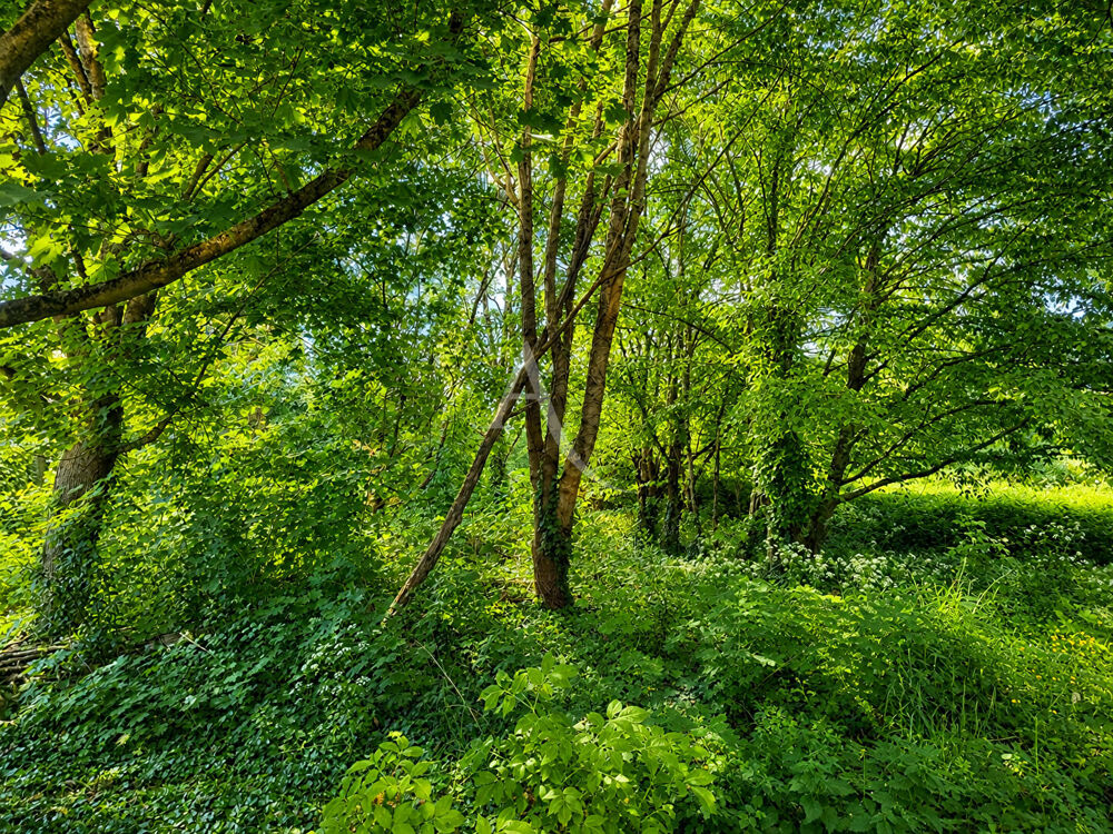 Vente Terrain Terrain à bâtir arboré à Souzay Champigny  - 720m² Souzay champigny
