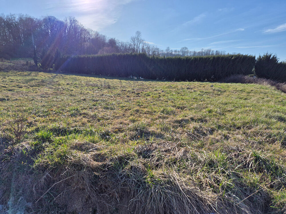Vente Terrain Terrain Viabilisé Velleminfroy 1000 m2 Velleminfroy