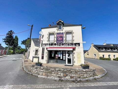 Local commercial Saint Jean La Poterie 196 m2 147960 56350 Saint jean la poterie