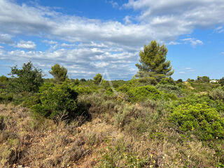  Terrain � vendre 5029 m�