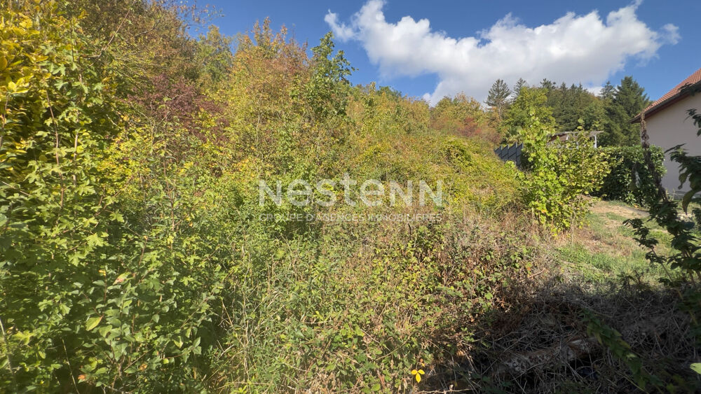 Vente Terrain BAR-LE-DUC terrain de loisirs de 2915m² avec maisonnettes de 4 m² et 9 m² Bar le duc