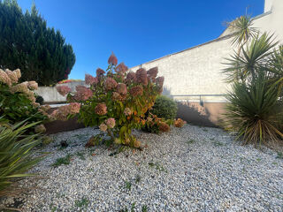  Appartement � vendre 3 pi�ces 78 m�