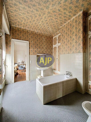  Appartement � vendre 5 pi�ces 301 m�