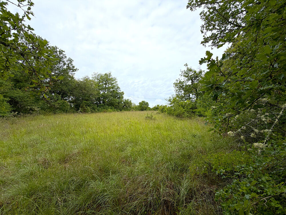 Vente Terrain AUJOLS - Terrain constructible - 4 600 m² Cahors
