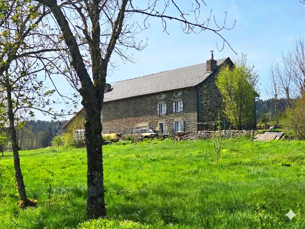 Ancienne ferme rénovée avec grand terrain attenant et dépendances Fay Sur Lignon