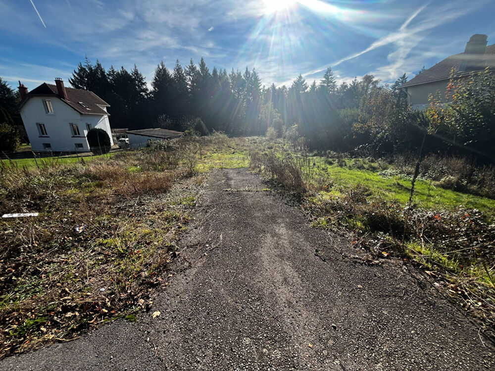 Vente Terrain Terrain constructible viabilisé de 1900 m2 Chantraine
