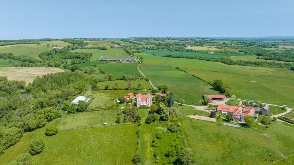 � vendre  Villa Albi (81000)