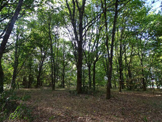  Terrain à vendre 5000 m²