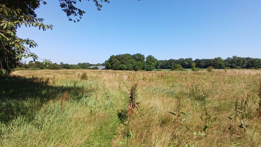 Propriété modulable sur 7 hectares à 15 min de Dax