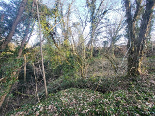  Terrain à vendre 1 pièce 2447 m²