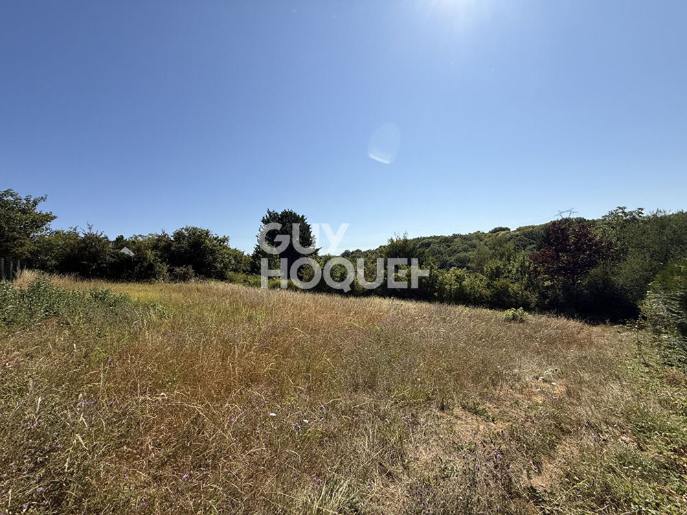 Vente Terrain Terrain Goussonville 1234 m2 Goussonville