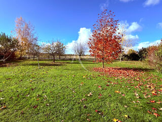  Terrain � vendre 1000 m�