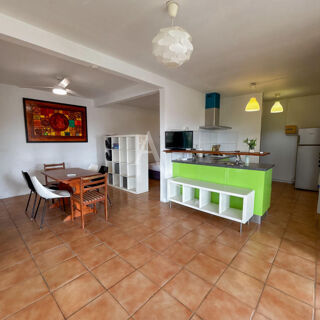  Appartement à louer 1 pièce 55 m²