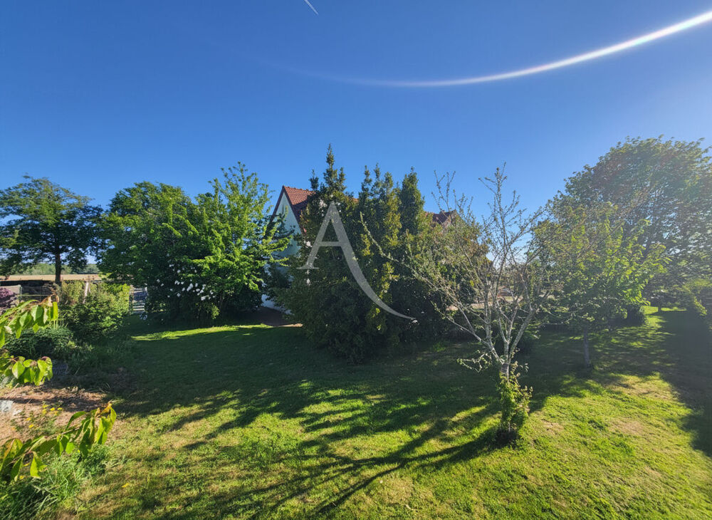 Vente Maison Pavillon d'exception 8 pièces sur 2000m² de terrain Evry gregy sur yerre