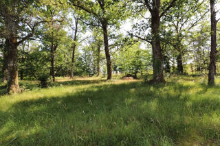  Maison � vendre 13 pi�ces 373 m�