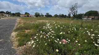  Terrain � vendre 493 m�