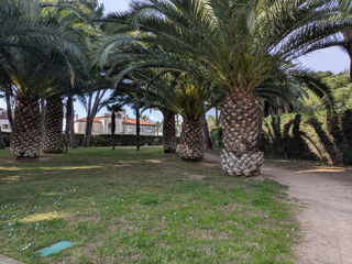  Appartement � vendre 2 pi�ces 43 m�