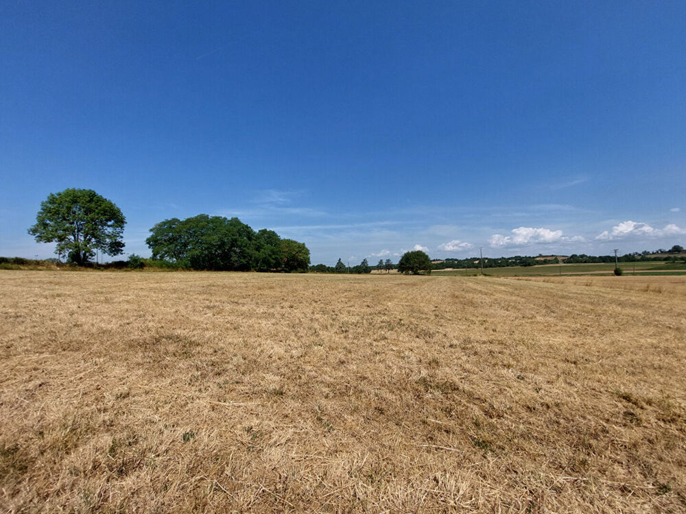 Vente Terrain Terrain constructible Parisot 2672 m2 Parisot